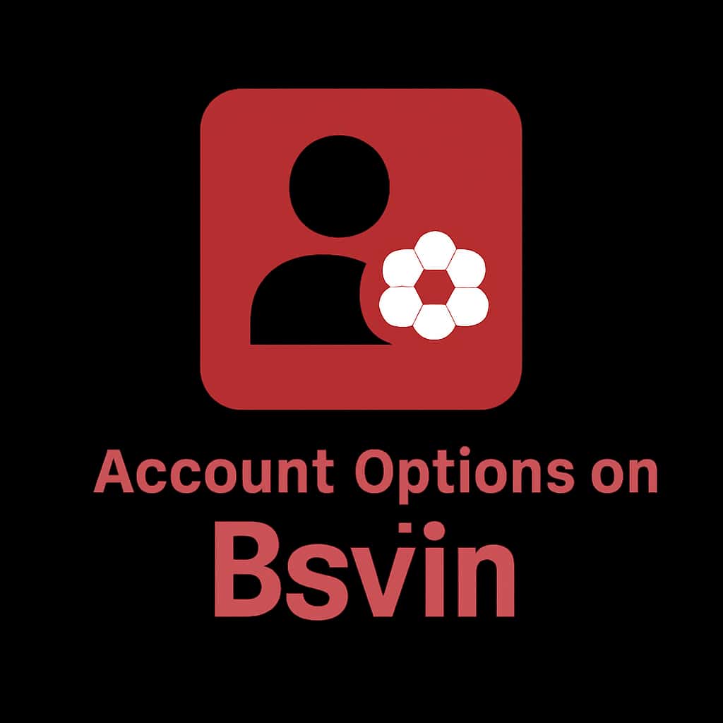 Icon representing account options on Bsvin.
