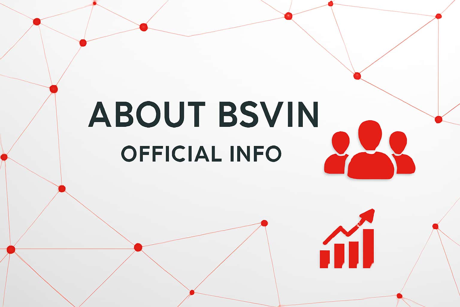 About Bsvin - Official Info Interface