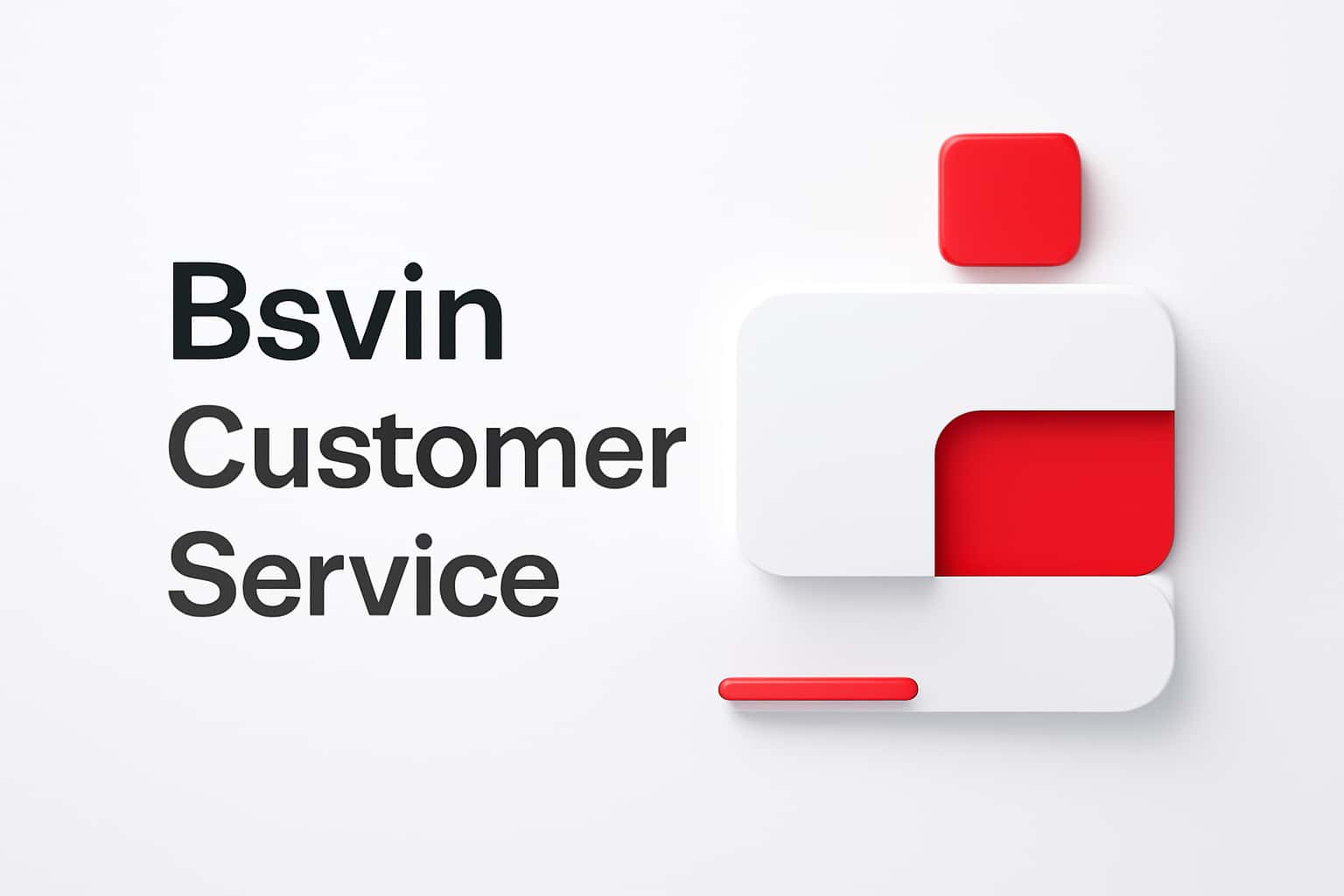 Bsvin Customer Service Interface