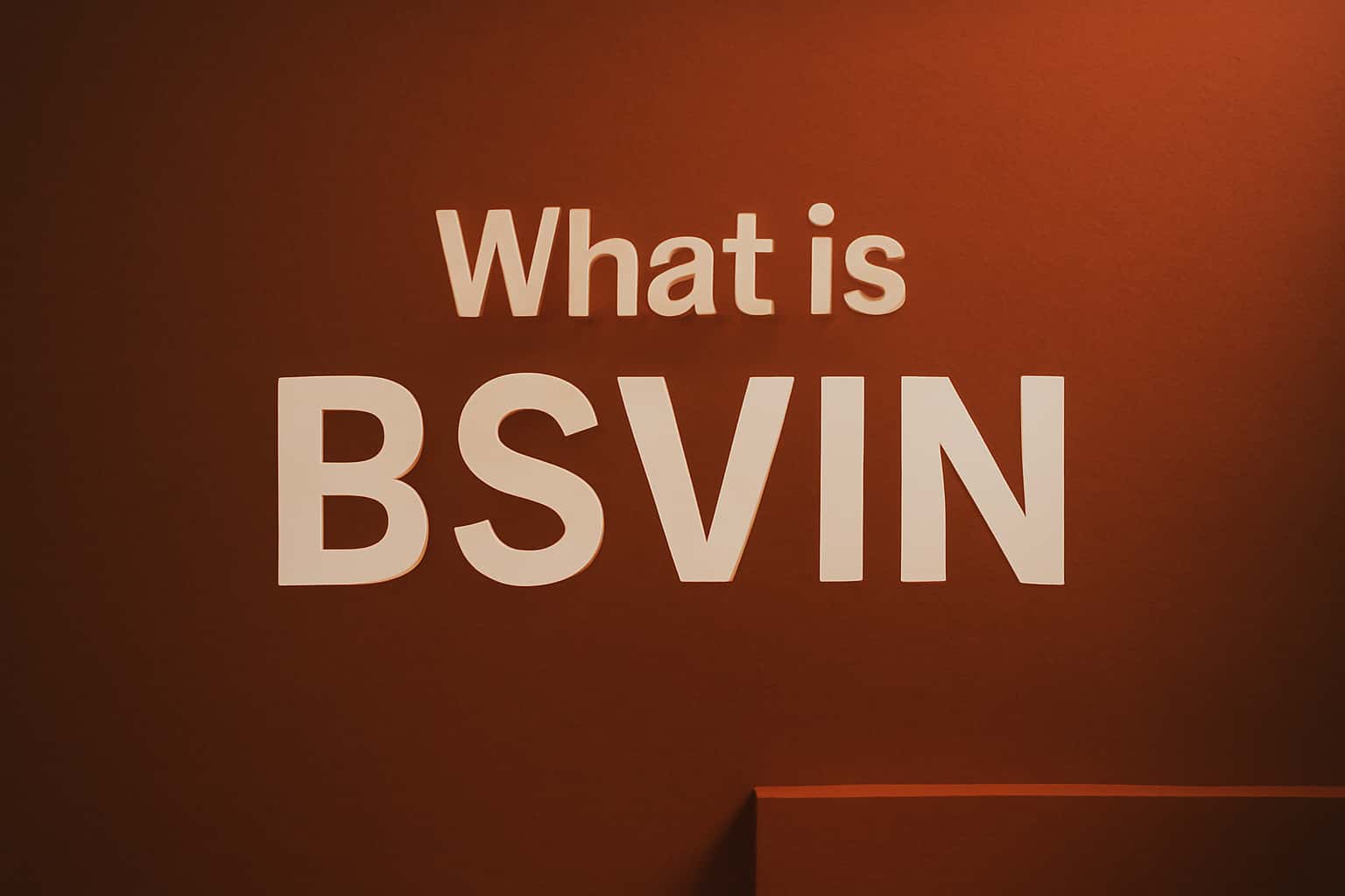 A neutral informational graphic depicting the Bsvin platform.